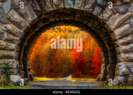 Naturen Farben - Blick auf die Farbtöne der Natur im Wald an der Mohonk Erhaltung im Hudson Valley Gegend von Upstate New York. Stockfoto