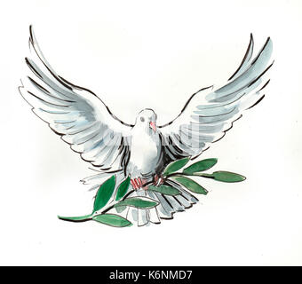 Weiße Taube mit Ölzweig. Symbol des Friedens. Stockfoto