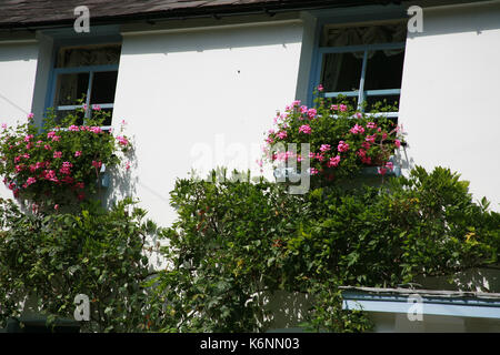 Häuser im Chipperfield Dorf, Herts, Großbritannien Stockfoto