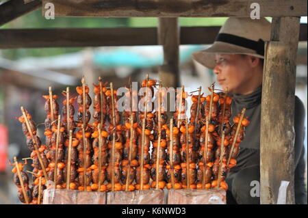 Khmer Street Vendor mit gegrillten oder gegrillten Fröschen zum Verkauf an einem offenen Straßenstand am Highway 2, Takeo Province, Kambodscha. Kredit: Kraig lieb Stockfoto