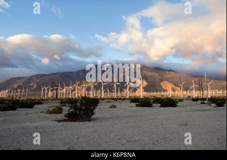 Windenergieanlagen in der Nähe von Palm Springs in Kalifornien Stockfoto