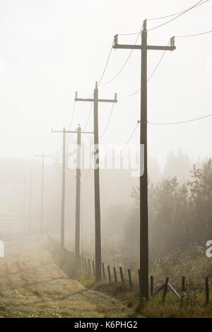 Strommasten Stockfoto