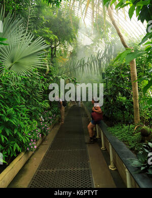 Personen innerhalb des Palm House Royal Botanic Gardens, Kew, London, England, Großbritannien Stockfoto