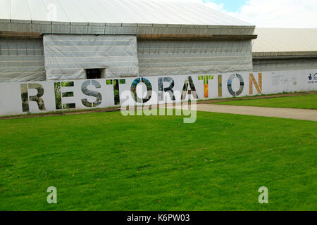 Restaurierung in gemäßigt Haus Restaurierungsprojekt, Royal Botanic Gardens, Kew, London, England, Großbritannien Stockfoto