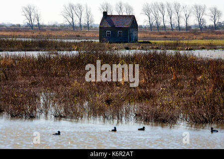 Die Bauernhöfe und Häuser in Tiengemeten, ein Süßwasser-tidebereich in der Haringvliet Mündung in den Niederlanden, sind verlassen und zurück nach Na bestimmten Stockfoto