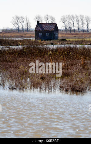 Die Bauernhöfe und Häuser in Tiengemeten, ein Süßwasser-tidebereich in der Haringvliet Mündung in den Niederlanden, sind verlassen und zurück nach Na bestimmten Stockfoto