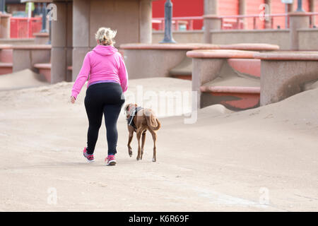 Einsame weibliche Wandern einen Hund Rhyl Promenade im Norden von Wales mit dem Driften sands Aufbau gegen die Promenade als Ergebnis Sturm Aileen, Denbighshire, Wales, Großbritannien Stockfoto