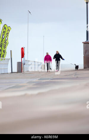 Zwei Frau zu Fuß einen Hund Rhyl Promenade im Norden von Wales mit dem Driften sands Aufbau gegen die Promenade als Ergebnis Sturm Aileen, Denbighshire, Wales, Großbritannien Stockfoto