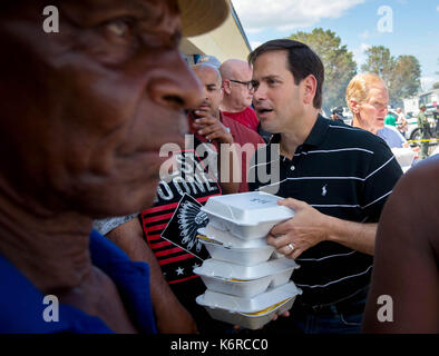 September 13, 2017 - Belle Glade, Florida, US-Senator Marco Rubio und Senator Bill Nelson handout Mahlzeiten an einem Masse Verteilung von Nahrungsmitteln und Wasser bei NW 2. Straße und W Canal Street in Belle Glade, Florida am 13. September 2017. 2000 Mahlzeiten wurden in Partnerschaft mit Christus Fellowship Church, PBC Food Bank, Home Depot, Zuckerrohr Züchter, Stadt von Belle Glade, Stadt der Pahokee und der Stadt South Bay verteilt. Der Plan für Donnerstag ist auf 3000 Mahlzeiten mit Eis und Wasser am gleichen Standort verteilt werden soll. (Bild: © Allen Eyestone/der Palm Beach Post über ZUMA Draht) Stockfoto