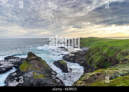 Die Schönheit der Phillip Island Stockfoto