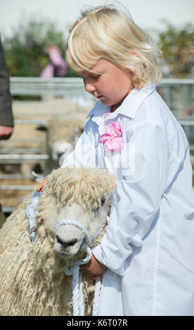 Junges Mädchen mit einem Cotswold Schafe am Henley Land zeigen, Oxfordshire, Großbritannien Stockfoto