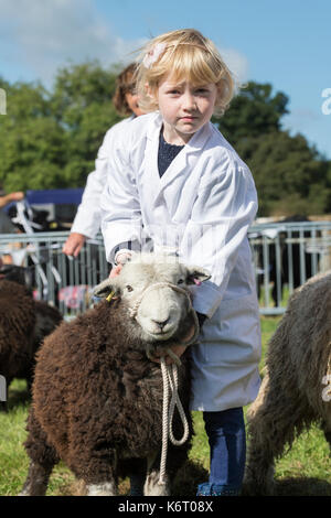 Junge Mädchen zeigen eine herdwick Lamm am Henley Land zeigen, Oxfordshire, Großbritannien Stockfoto