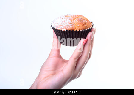 Hausgemachten Blueberry erz Schokolade Muffins mit Puderzucker und frischen Beeren in der Frau die Hand. Stockfoto
