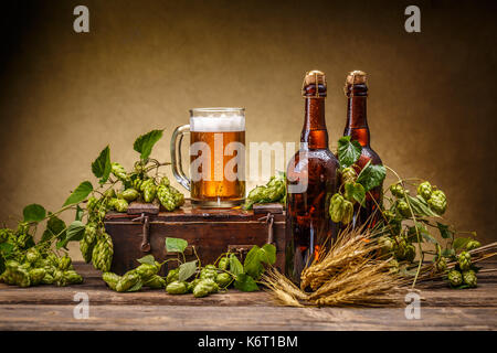 Bier Konzept mit frischen grünen Hopfen Stockfoto