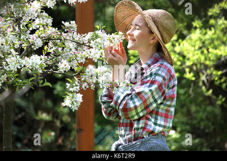 Blühender Apfelbaum. Feder im Obstgarten. Blühende Obstbäume im Garten. Glückliche Frau lächelt Apfelblüte Stockfoto