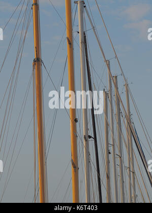 Eine Reihe von Masten der mehrere Segelboote. Stockfoto