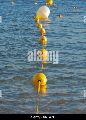 Eine Nahaufnahme von mehreren bojen im Wasser. Stockfoto