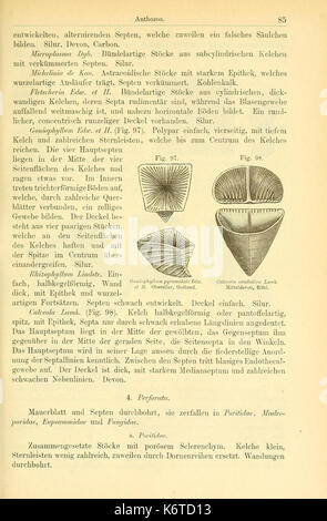 Der paleontologie (Seite 85, Abb. 97 98) BHL 14893812 Stockfoto