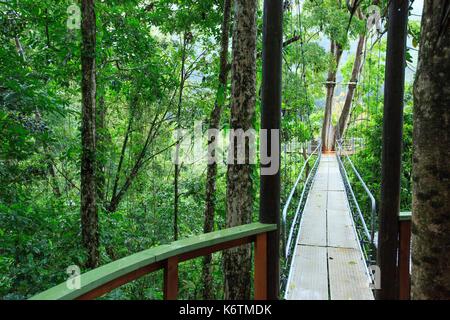 Costa Rica, Provinz Limon Limon, Pacuare Lodge Stockfoto