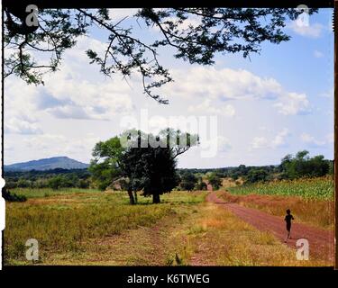 Burkina Faso, Poni Provinz, Lobi Land, auf der Schiene von Gaoua zu LoropŽni Stockfoto