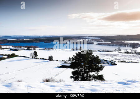 Views um cnoc Mor in der Nähe von Strathpeffer in den schottischen Highlands Stockfoto