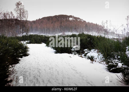 Views um cnoc Mor in der Nähe von Strathpeffer in den schottischen Highlands Stockfoto