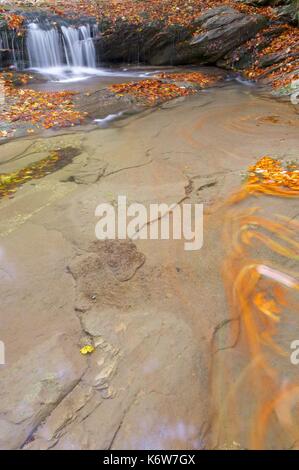 Creek in Irati Dschungel, Pyrenäen, Navarra, Spanien. Stockfoto