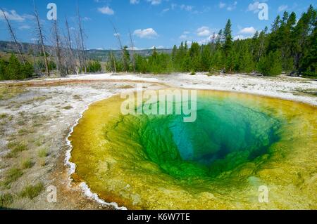 Blick auf Morning Glory Pool im Yellowstone National Park, Usa Stockfoto