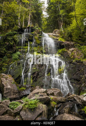 Zweribach Wasserfälle im Schwarzwald, Unterer Wasserfall, Höhe 15m, Oberer Schwarzwald, Mittelschwarzwald, Baden-Württemberg Stockfoto