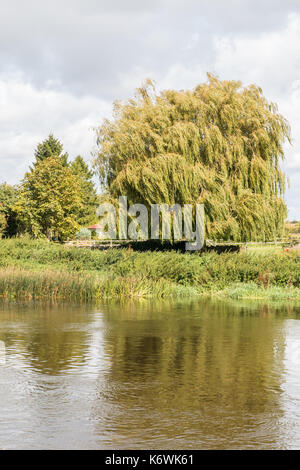 Auf der anderen Seite des Flusses Trent Swalkstone. Blick über den Fluss auf einer Weide und auf einen Garten im Hintergrund und den bewölkten Himmel. Stockfoto
