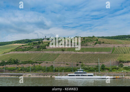 Weinberge mit Niederwalddenkmal, Mittelrheintal, Rüdesheim, Rheingau-Taunus, Hessen, Deutschland Stockfoto