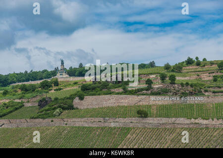 Weinberge mit Niederwalddenkmal, Mittelrheintal, Rüdesheim, Rheingau-Taunus, Hessen, Deutschland Stockfoto