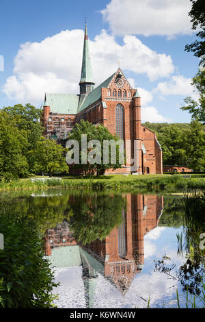 Doberaner Münster, Backsteingotik, Bad Doberan, Mecklenburg-Vorpommern, Deutschland Stockfoto