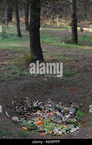 Kompost Erdloch mit organischen biologisch abbaubar grüne Abfälle im Wald. Grube Kompostierung. Stockfoto