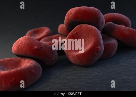 Close-up SEM (Scanning Electron Microscope) des oxygenierten rote Blutkörperchen (Erythrozyten) auf dunkelgrau Oberfläche Hintergrund mit Tiefenschärfe entgraten. Stockfoto