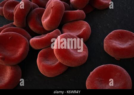Extreme close-up des oxygenierten rote Blutkörperchen (Erythrozyten) aufgetürmt, SEM (Scanning Electron Microscope) false reichen Rot stilisierte Darstellung. Stockfoto