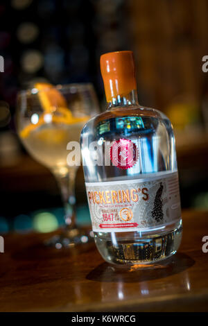 Schottische Gin eine große Aktuelle trinken Stockfoto