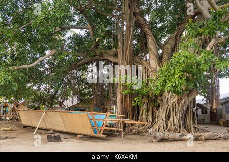 Philippinen, Palawan, Aborlan, Sombrero Island, das Banyan in der Mitte des Dorfes Stockfoto