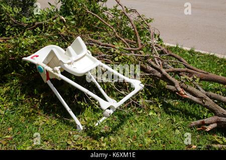 Baby High-Chair Verlegung in stürzte Bäume neben der Straße nach Hurrikan Irma Stockfoto