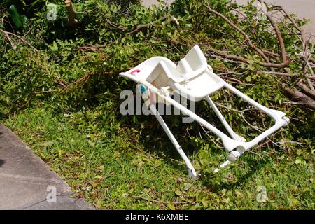 Baby High-Chair Verlegung in stürzte Bäume neben der Straße nach Hurrikan Irma Stockfoto