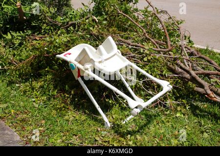 Baby High-Chair Verlegung in stürzte Bäume neben der Straße nach Hurrikan Irma Stockfoto