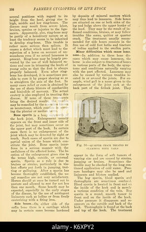 Farmer's cyclopedia von Live Stock (Seite 108) BHL 23726406 Stockfoto