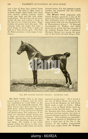Farmer's cyclopedia von Live Stock (Seite 290) BHL 23726594 Stockfoto