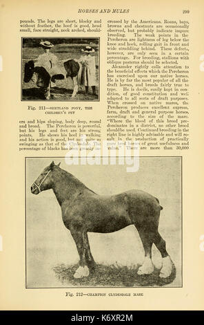 Farmer's cyclopedia von Live Stock (Seite 299) BHL 23726603 Stockfoto