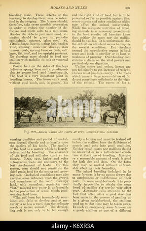 Farmer's cyclopedia von Live Stock (Seite 309) BHL 23726613 Stockfoto
