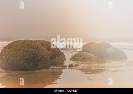 Moeraki Boulders in Neuseeland Stockfoto