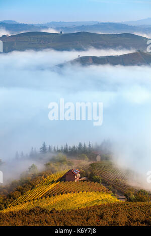 Blick von oben auf bunten herbstlichen Weinberge und Morgennebel, die Hügel des Piemont, Norditalien. Stockfoto