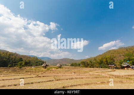 Handgefertigte lange Buddha Bambus Brücke über chemische Reisfeldern in der Nähe von touristischen Pai ich im Norden von Thailand. Asiatische Landschaft im Sommer. Stockfoto