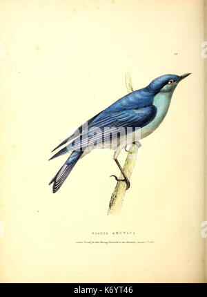 Fauna boreali Americana, oder, um die Zoologie der nördliche Teil von Südamerika (9514420673) Stockfoto