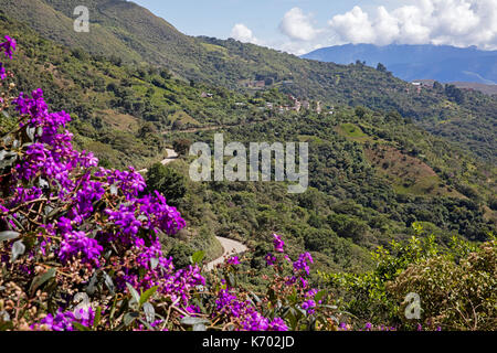 Kleines Dorf und Landwirtschaft am Berghang in der bolivianischen Yungas, Nor Yungas Provinz, La Paz Department der westlichen Bolivien Stockfoto